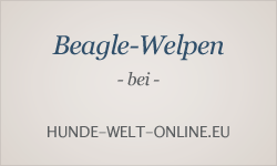 Welpeninserate bei hunde-welt-online.eu