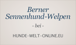 Welpeninserate bei hunde-welt-online.eu