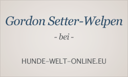 Welpeninserate bei hunde-welt-online.eu