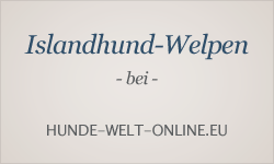Welpeninserate bei hunde-welt-online.eu