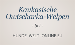 Welpeninserate bei hunde-welt-online.eu