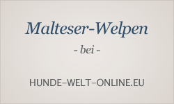 Welpeninserate bei hunde-welt-online.eu