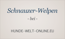 Welpeninserate bei hunde-welt-online.eu