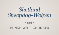 Welpeninserate bei hunde-welt-online.eu