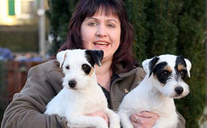 Parson Russell Terrier- Quelle: http://www.prt-rambling.com Parson Russell Terrier- Quelle: http://www.prt-rambling.com