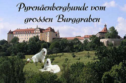 Pyrenäenberghun - Vom grossen Burggraben